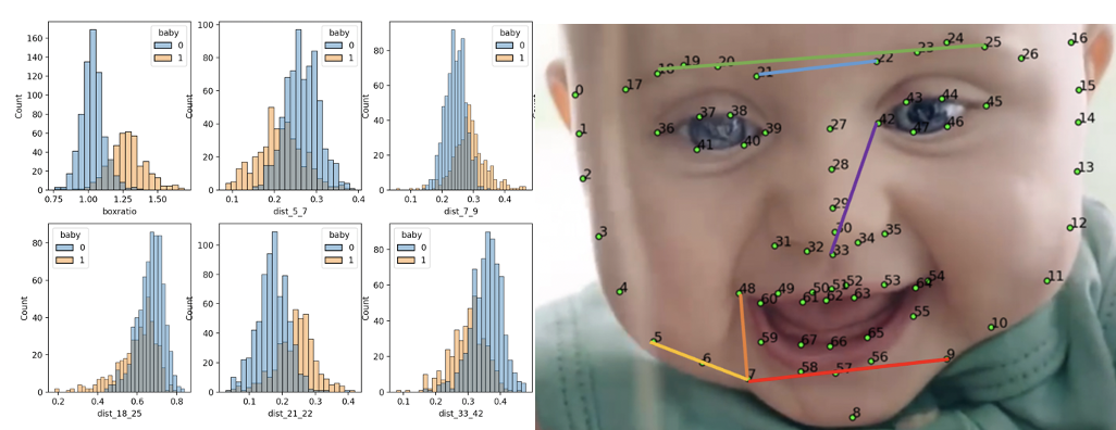 Baby Project Image