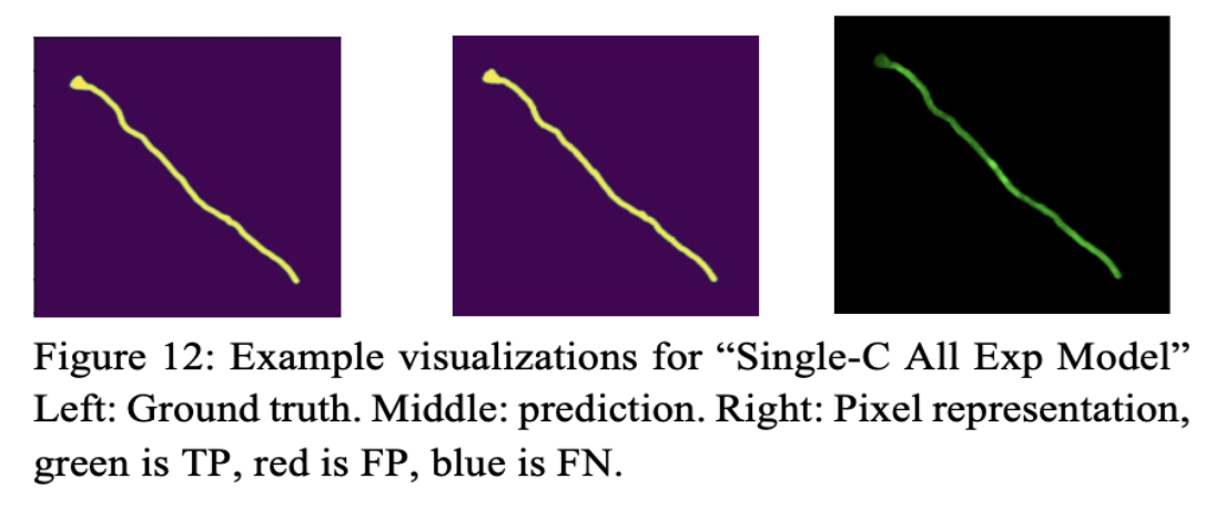Worm Project Image